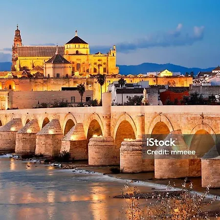 La Pecera De Zoe * Córdoba