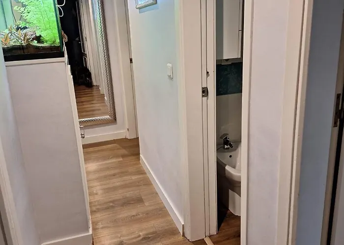 La Pecera De Zoe Appartement *